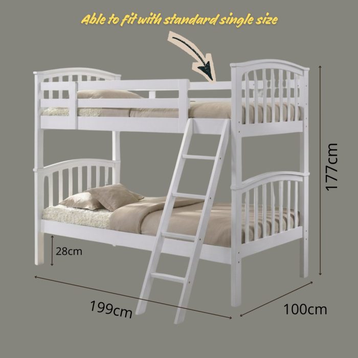 WS010-A Single Size Double Decker - Image 5